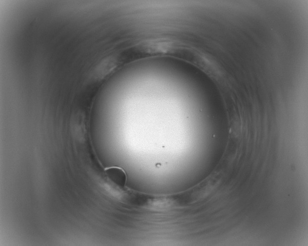 X0000062910414200601131431