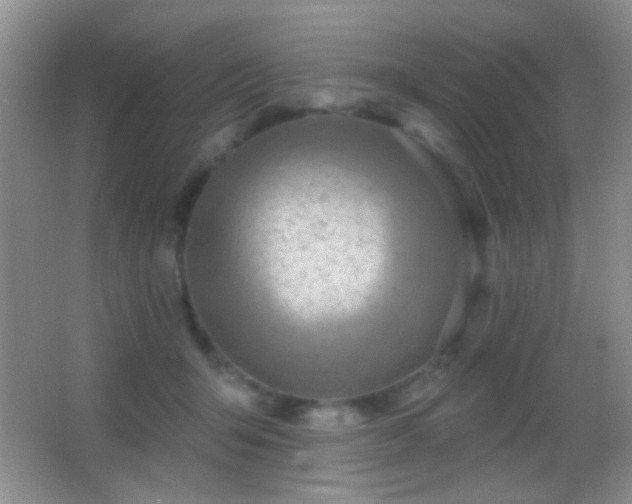 X0000062910415200601131431