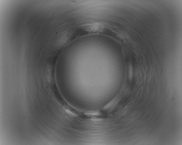 X0000062910416200601131431