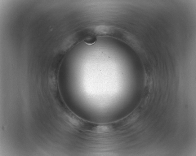 X0000062910418200601131431