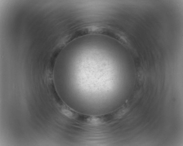 X0000062910419200601131431