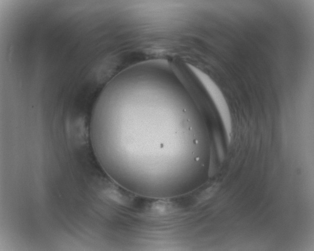 X0000062910420200601131431