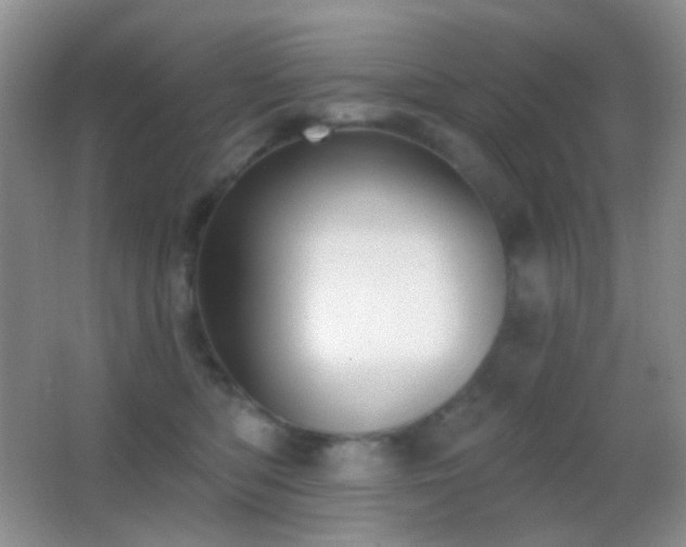 X0000062910422200601131431