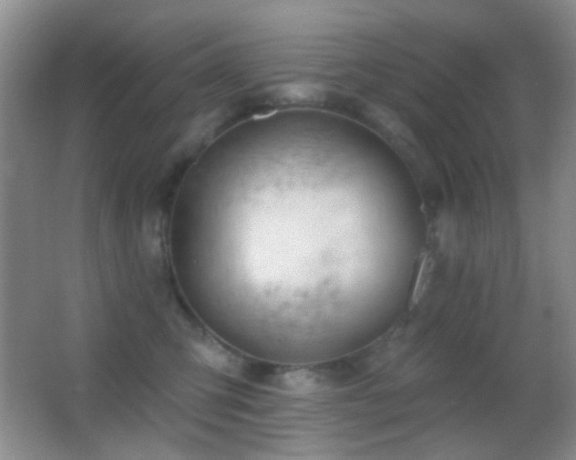 X0000062910423200601131431