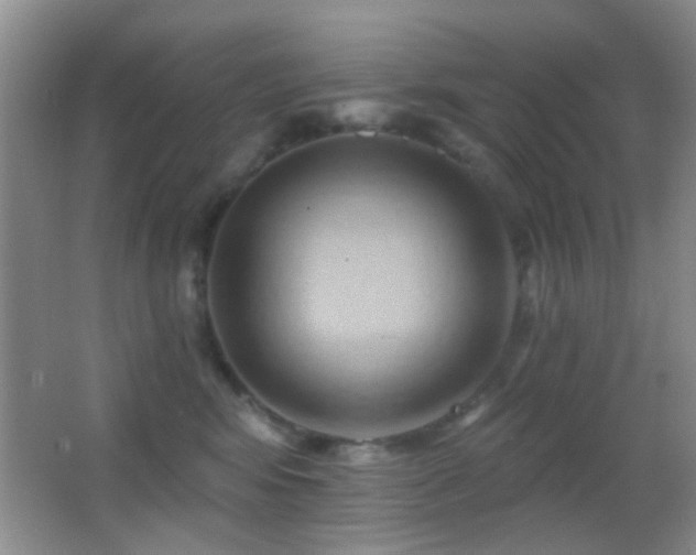 X0000062910424200601131431