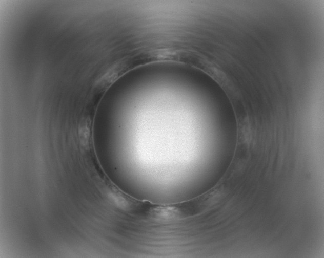 X0000062910427200601131431