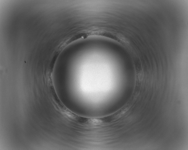 X0000062910429200601131431