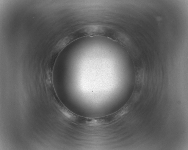 X0000062910430200601131431