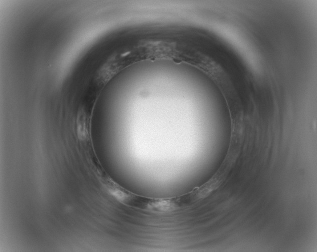 X0000062910431200601131431