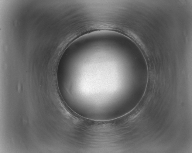 X0000062910433200601131430