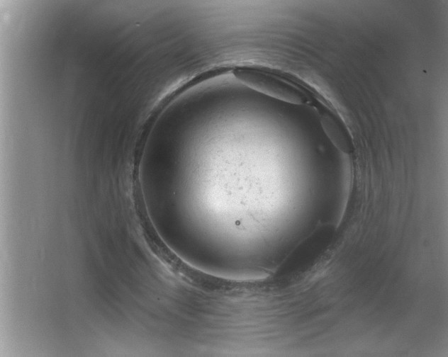 X0000062910434200601131430