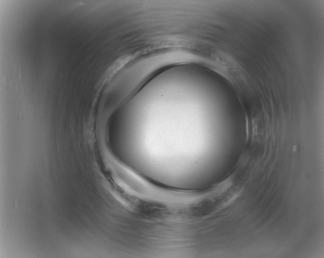 X0000062910436200601131430