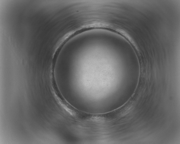 X0000062910437200601131430