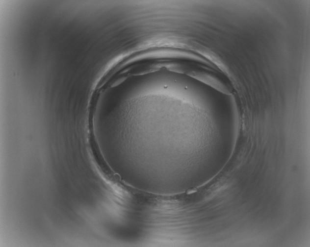 X0000062910438200601131430