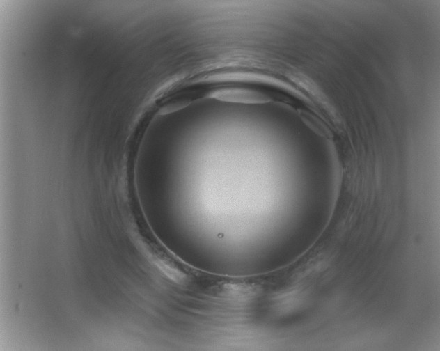 X0000062910442200601131430