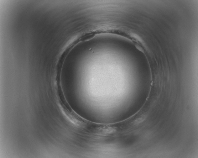 X0000062910443200601131430