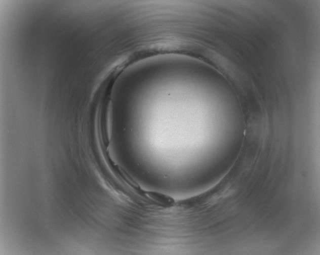 X0000062910446200601131430