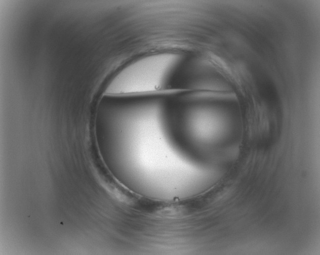 X0000062910447200601131430