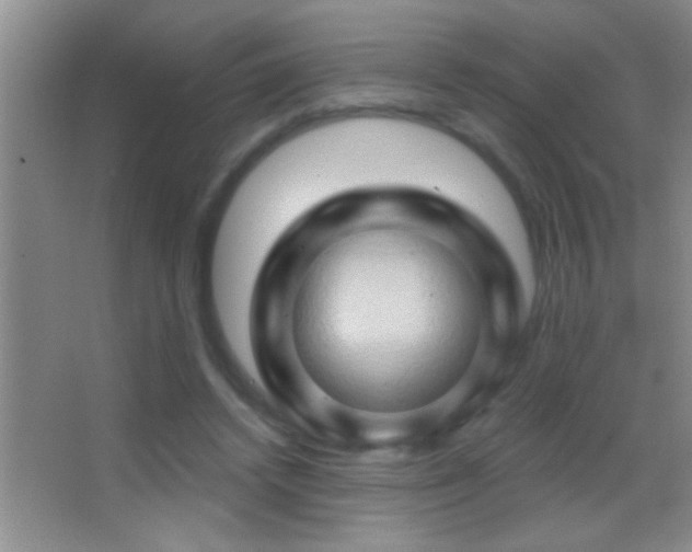 X0000062910448200601131430