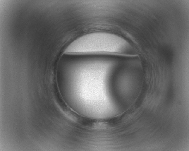 X0000062910451200601131430