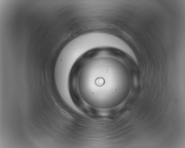 X0000062910452200601131430