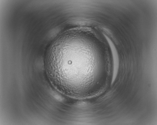 X0000062910453200601131430