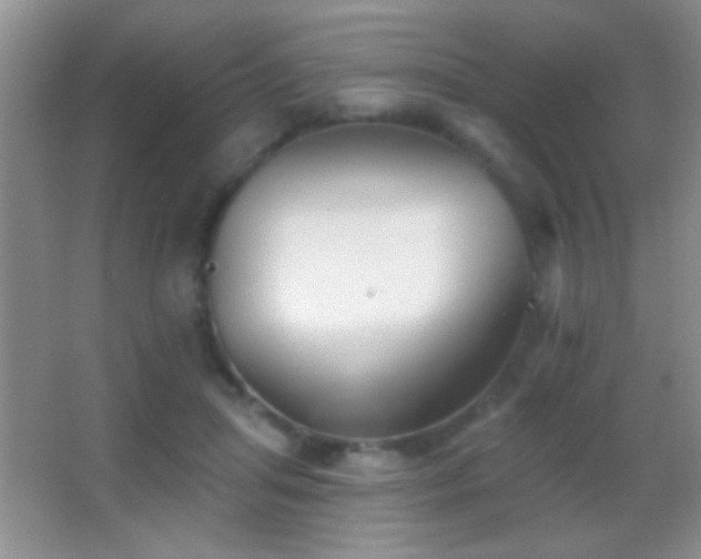 X0000062910455200601131430