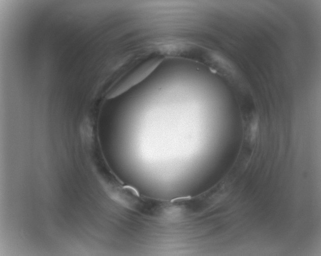 X0000062910456200601131430