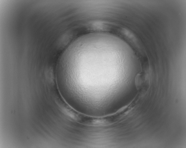 X0000062910457200601131430