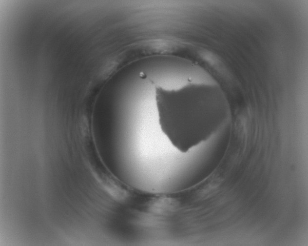 X0000062910459200601131430