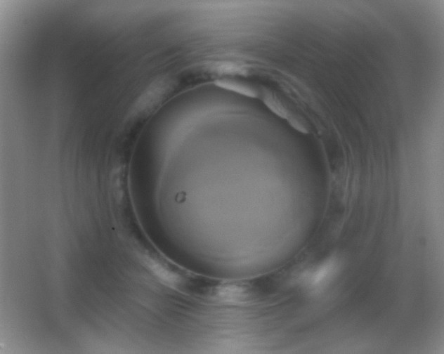 X0000062910462200601131430