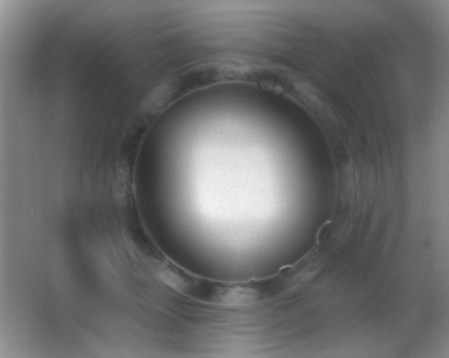 X0000062910463200601131430