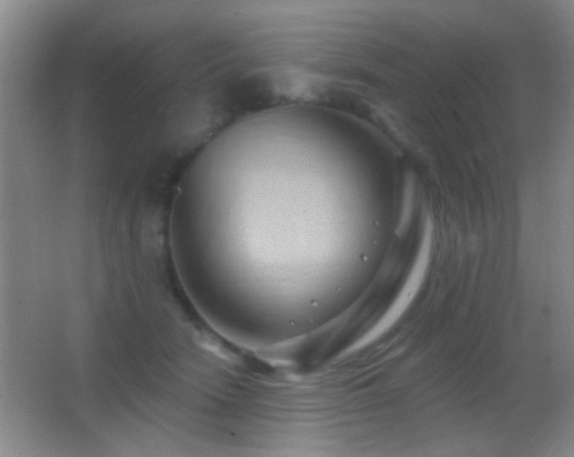 X0000062910466200601131431