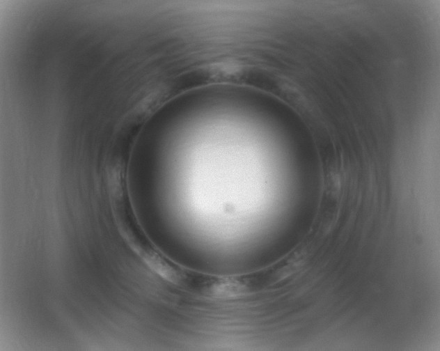 X0000062910468200601131431