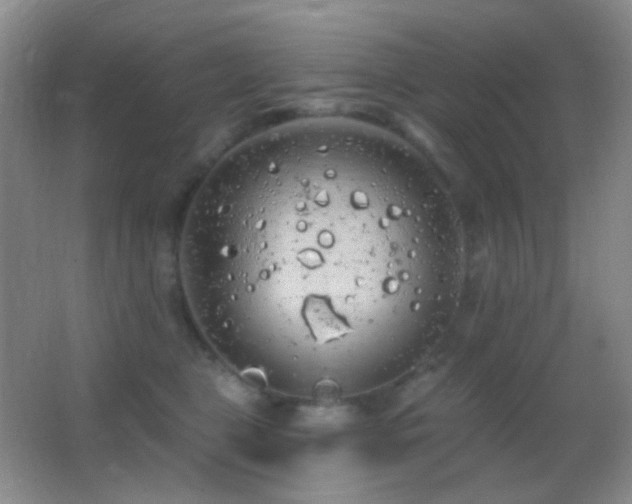 X0000062910469200601131431