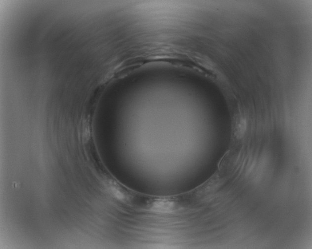 X0000062910471200601131431