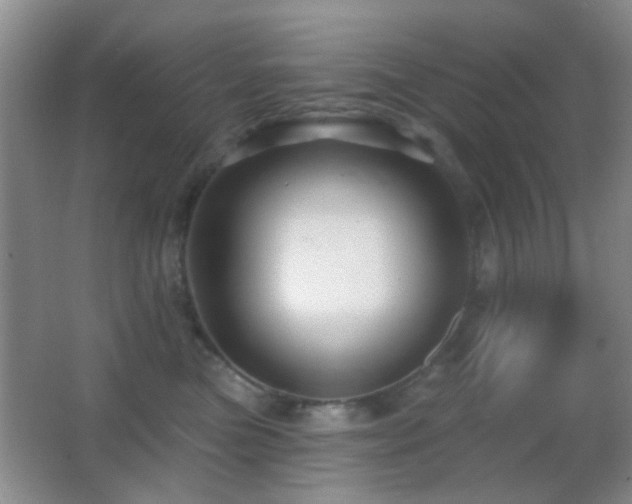 X0000062910473200601131431