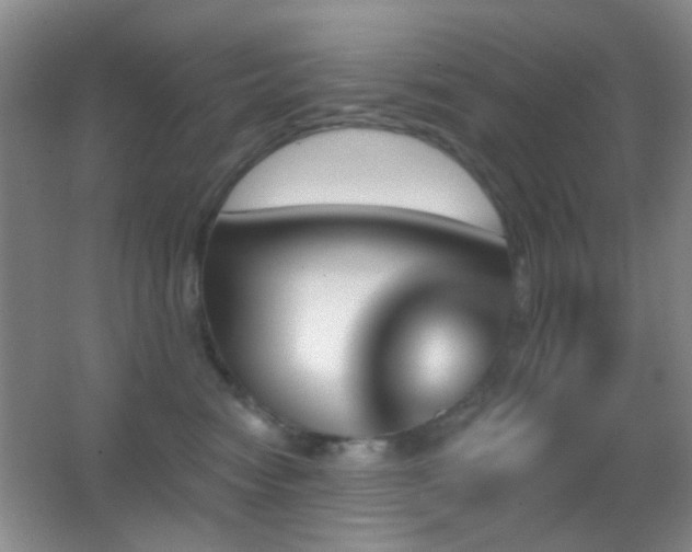 X0000062910474200601131431