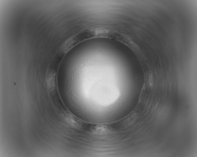 X0000062910475200601131431