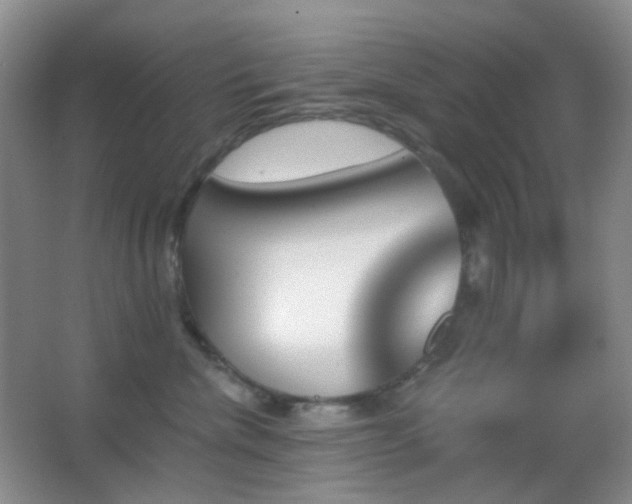 X0000062910476200601131431