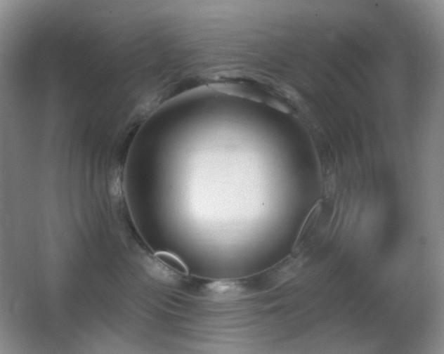 X0000062910477200601131431