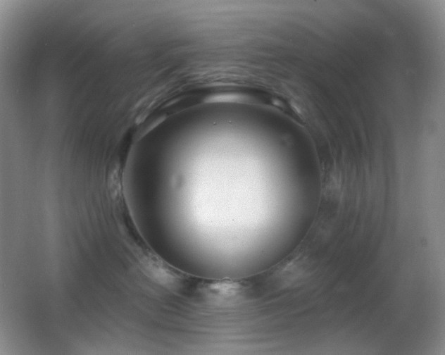 X0000062910478200601131431