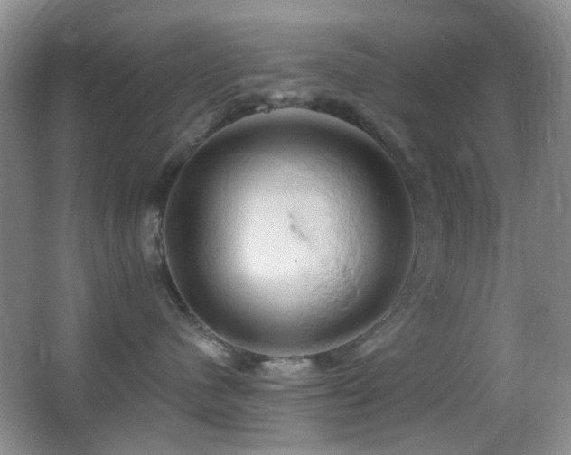 X0000062910480200601131431