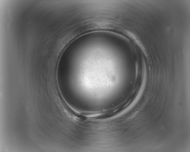 X0000062910481200601131430