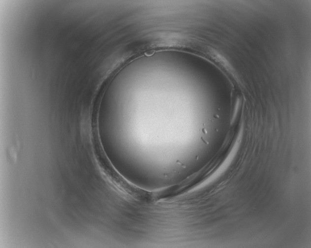 X0000062910482200601131430