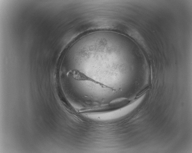 X0000062910483200601131430