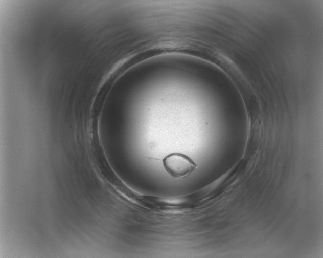 X0000062910484200601131430