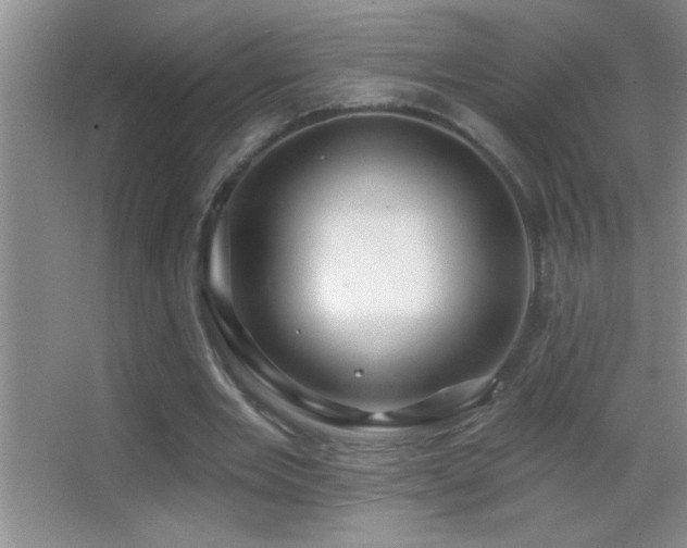 X0000062910485200601131430