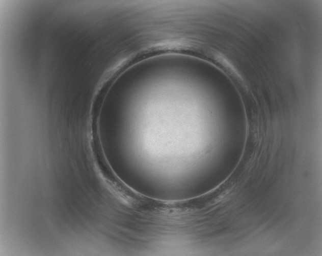 X0000062910486200601131430