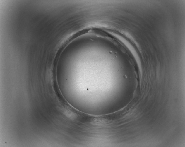 X0000062910487200601131430